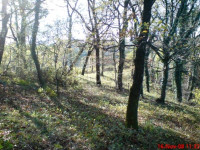 Čavle - Cernik, građevinsko zemljište 1724 m2
