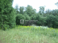 Čavle, 2.376m2 građevinskog zemljišta