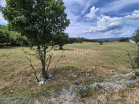 Čavle - prodaja građevinskog zemljišta od 5300 m2