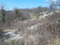 ČAVLE, SOBOLI - Građevinsko zemljište, 5357 m2, gospodarska namjena