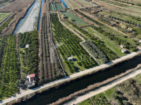 CREPINA, OPUZEN – Poljoprivredno zemljište s nasadom mandarina i gospo