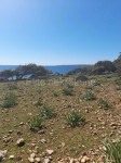 Cres - Belej - poljoprivredno zemljište 9.970 m2