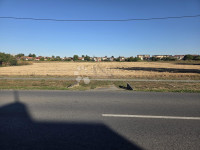 DARDA, 1.628 m2 GRAĐEVINSKOG ZEMLJIŠTA – INVESTICIJA