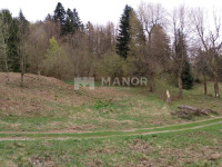 DELNICE, CRNI LUG - Poljoprivredno zemljište, 15 876m²