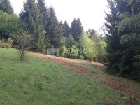 DELNICE, CRNI LUG - Zemljište idealno za kućicu na drvetu, 6.132 m²
