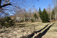 Delnice, Presika, poljoprivredno zemljište površine 2694 m2 u P3 zoni