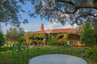 DIJAMANT u Rovinju, prizemnica s ogromnom okućnicom blizu mora