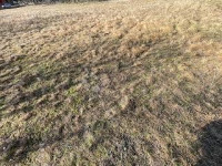 Dražice-796m2,izvrstan ravan teren za obiteljsku kuću