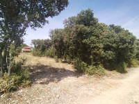 Duga Uvala-Pavićini, 315 m2, blizu mora, za odmor!