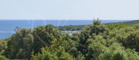 Duga Uvala, veliko poljoprivredno zemljište 20000 m2, pogled na more