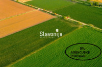 DVA JUTRA ZEMLJIŠTA U KOMADU!