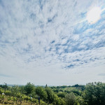 DVIJE KLIJETI I PROSTRANO ZEMLJIŠTE - Kunovec Breg