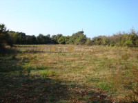 PRILIKA, Galižana, prekrasna poljoprivredna parcela, 3515 m2