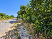 Galižana, zemljište 4.650 m2 direktno uz cestu