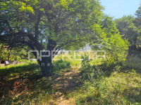 Gjurkov put, Gračani, 865,00 m2, 160.000,00 EUR