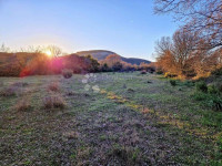 GLAVICA (SV. PETAR NA MORU) - POLJOPRIVREDNO ZEMLJIŠTE 3202m2