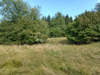 Gomirje, odlično poljoprivredno zemljište