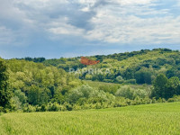 Gornja Rijeka, Kolarec, poljoprivredno zemljište, 11344 m²