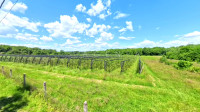 Gornji Vukojevac, građevinsko i pp zemljište 1.600m2 + 6.400 m2
