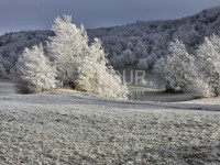 Gorski kotar, Begovo razdolje, građevinsko/poljoprivredno  zemljište