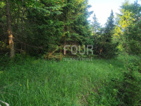 Gorski kotar, Brod Moravice - okolica, poljoprivredno zemljište 2.201m