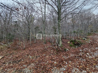 Gorski kotar, Lič, građevinsko zemljište, 2.930m2