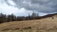 Gorski Kotar, Stari Laz - poljoprivredni teren 13.079 m2