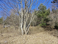 GORSKI KOTAR, VRATA - dvije građevinske parcele