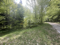 Gorski kotar, Vrbovsko, poljoprivredno zemljište 18.987m2