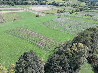 Gotalovec: poljoprivredno zemljište, livada površine 2917 m2