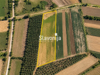 Gotovo 3 ha obradive oranice u jednom komadu – 29.271 m², bez provizij