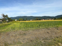 Građ. zemljište, Donja Bistra, 17.000m2, 35€/m2