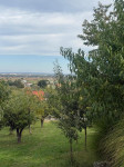 Građevinsko-poljoprivredno zemljište sa vinogradarskom kućom