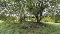 Građevinsko površine 574 m2 + poljoprivredno površine 10325 m2 u Valtu