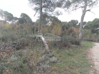 .::: Građevinsko zemljište od 1.000m2 u Bilicama :::.