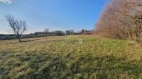 PRILIKA! Građevinsko zemljište, 1.301 m2! Barban - Puntera