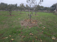 * Građevinsko zemljište 1000m2 *