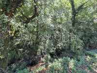 Građevinsko zemljište 1386 m² – prodaja Čavle, Buzdohanj