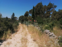 .::: Građevinsko zemljište 2.706m2 na osami :::.