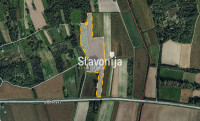 Građevinsko zemljište 20.000 m² [BUDROVCI]