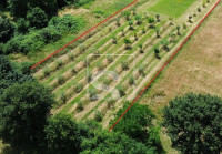 Građevinsko zemljište 2050m2, Loborika, 75x27m2