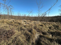 Građevinsko zemljište 2500 m²
