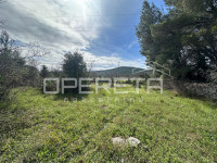 Građevinsko zemljište 3654 m² u Dubravi, moguća parcelizacija.