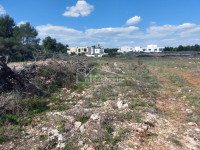 .::: Građevinsko zemljište 402 m2 u Srimi :::.