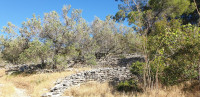 Korčula, Vela luka, građevinsko zemljište 488 m2