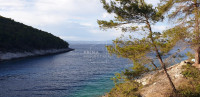 Korčula, Vela luka, građevinsko zemljište 490 m2, Korčula