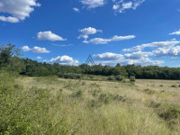 Građevinsko zemljište 50 000m2, Poreč. Građevinska dozvola u postupku!
