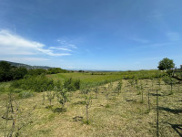 Građevinsko zemljište - 5365 m2 - Kladje - Samobor