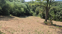 Građevinsko zemljište 6.870 m2, Vadina, odlična investicija!