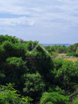 Građevinsko zemljište 636m2 - Vir